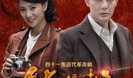 鉄核桃电视剧在线观看,揭秘抗战岁月中的传奇英雄